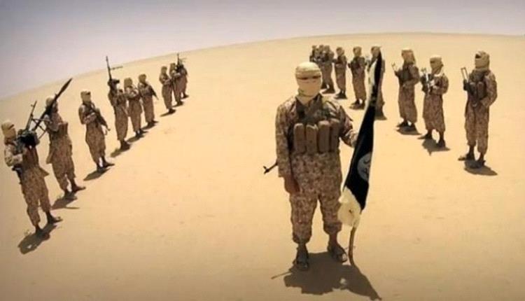 عام 2023 في اليمن .. انحسار وتساقط خلايا إرهاب داعش
