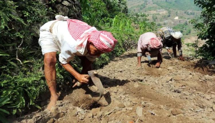 صحيفة سعودية تتهم الحوثيين بنشر السرطان في اليمن