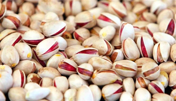 الفستق.. كنز من المعادن والفيتامينات