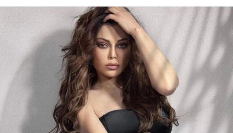 هيفاء وهبي في باريس.. إطلالة باهظة الثمن