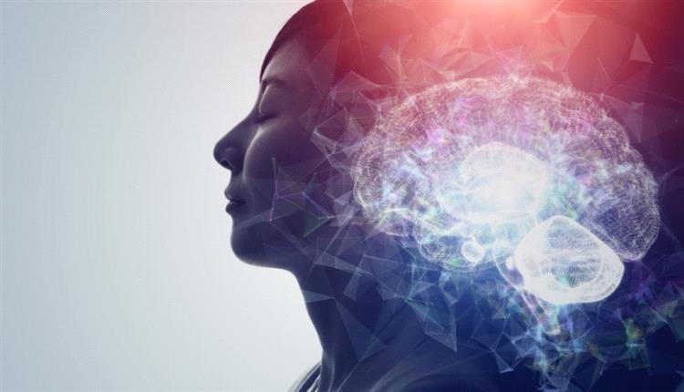 الذاكرة لا تقتصر على الدماغ فقط

