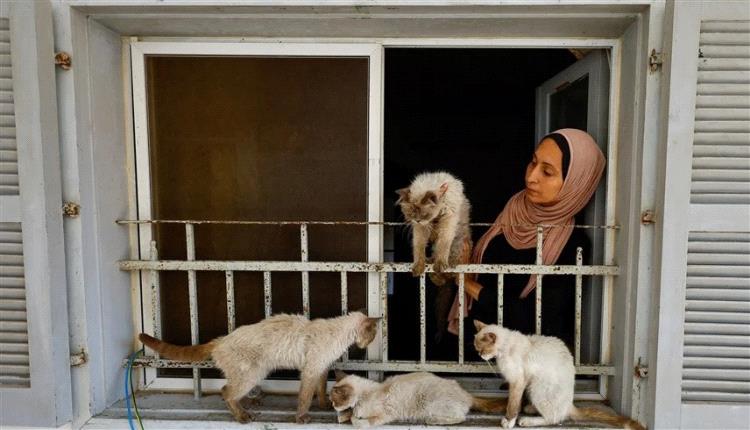 اتفاق مرتقب لإنهاء حرب غزة وتعيين حاكم للقطاع.. من سيكون؟
