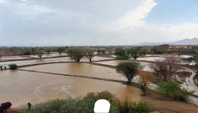السلطة المحلية في شبوة تعلن عن وفاة 6 أشخاص جراء سيول الأمطار
