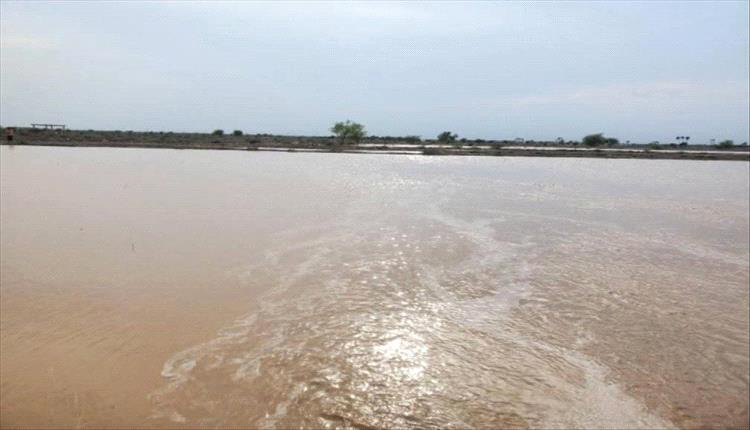 حضرموت.. وفاة شاب غرقًا بسبب السيول ونفوق 160 رأسًا من المواشي
