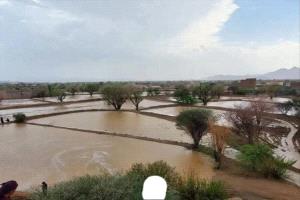 السلطة المحلية في شبوة تعلن عن وفاة 6 أشخاص جراء سيول الأمطار
