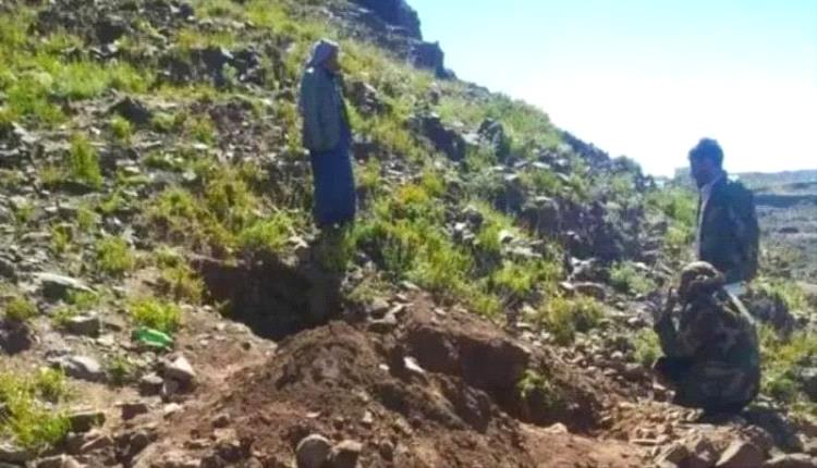 عصابة مسلحة تهاجم موقعا أثريا في محافظة إب
