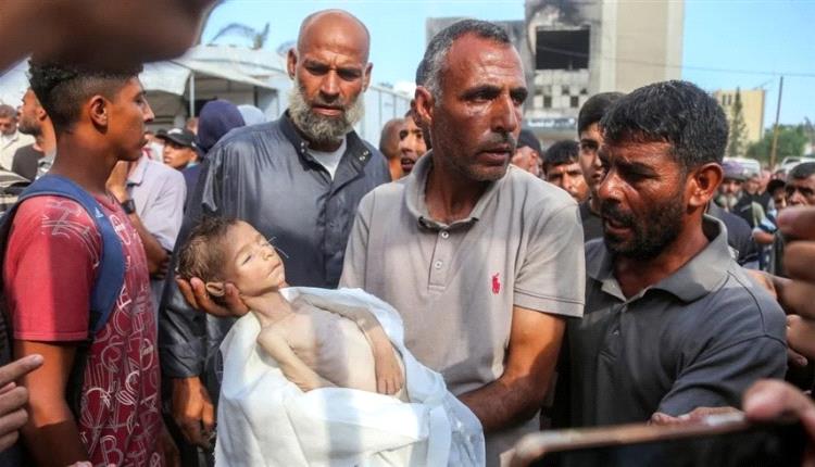 الأطفال الرضّع "ضحايا الجوع" يتساقطون في قطاع غزة
