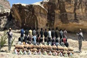 السعودية تحبط تهريب ربع طن قات وتطيح بـ10 يمنيين متورطين
