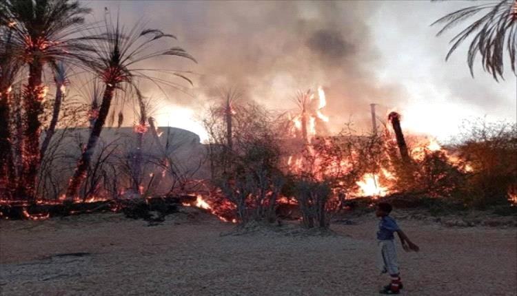حريق ضخم يلتهم أكثر من 150 نخلة في حضرموت وسط ظروف غامضة
