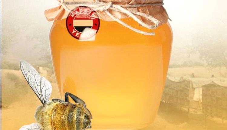 عسل اليمن في خطر.. ثالوث المناخ والحرب والمبيدات يهدد كنزا عالميا
